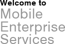 Welcome To Mobile Enterprice Services